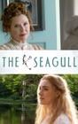 The Seagull