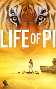 Life of Pi (film)