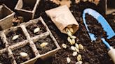 How to Save Seeds From Your Favorite Plants and Flowers for Next Year