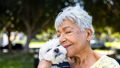 Veterinarians Are Sharing The Tell-Tale Signs Your Dog Is Truly Happy