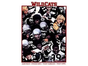 Wildcats (film)