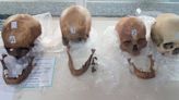 La Nación / Hallan 17 cráneos humanos en cajas de metal enterradas en Uganda