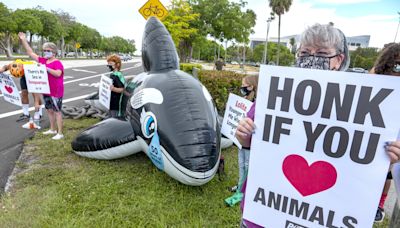 El Gobierno de Miami presenta demanda de desalojo contra el Miami Seaquarium