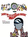Here We Go Round the Mulberry Bush (film)
