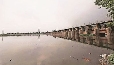 Delhi HC asks Delhi Development Authority vice-chairman to remove ‘all encroachments’ on Yamuna river banks