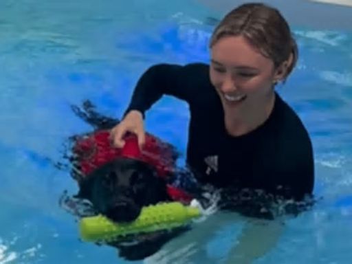 Celtic star and his Wag spotted in pool teaching their dog to swim as fans say ‘this made my day’