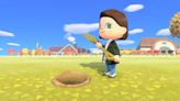 Over 3 years later, Animal Crossing: New Horizons fans are ready to talk about their least favorite bits of the game