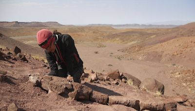 Fossils show huge salamanderlike predator with sharp fangs existed before the dinosaurs