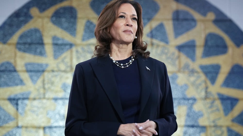 Kamala Harris Endorsed for President by 88 Business Leaders Including James Murdoch, Peter Chernin, Mark Cuban, Barry Diller