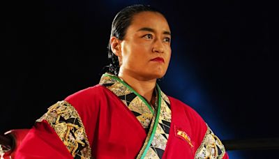 Report: WWE Star & Joshi Legend Meiko Satomura Preparing To Retire - Wrestling Inc.