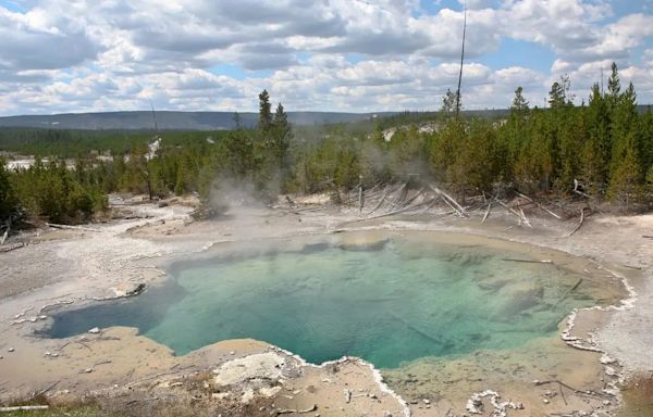 Yellowstone's Biscuit Basin to remain closed for summer after massive hydrothermal explosion