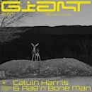 Giant (Calvin Harris and Rag'n'Bone Man song)