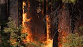California Firefighters Battling Blaze Helped by Cooler Weather
