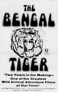 The Bengal Tiger