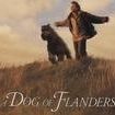 A Dog of Flanders (1999 film)