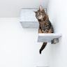 A space-saving option that attaches to the wall May include platforms, perches, and scratching surfaces Allows cats to climb and play without taking up floor space