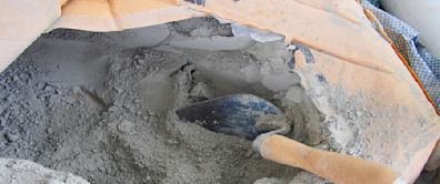 Hoffmann Green Cement Technologies seals partnership with BCE