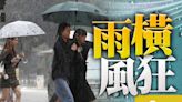 黃色暴雨警告生效 預料80公里或以上強陣風吹襲香港