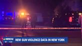 New Gun Violence Data in New York