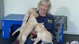 Carol Kirkwood Was Truly Living Her Best Life During BBC Breakfast’s Puppy Invasion