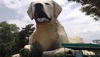 ¿Qué pasó con el “perro gigante” del extinto México Mágico en Chapultepec?