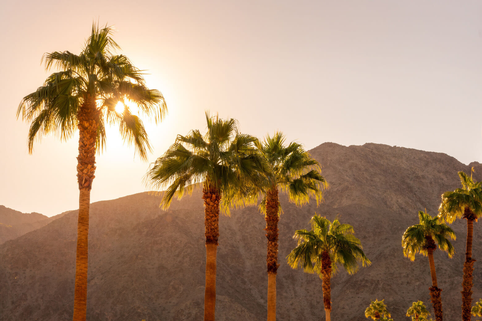 United Airlines adds nonstops from DC to Palm Springs - WTOP News