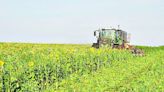 Checa Carboneg venderá créditos de carbono procedentes de 5 mil hectáreas de campos chilenos al año - La Tercera