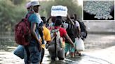 ONG alerta de adicción al fentanilo entre migrantes de la frontera de México con EE.UU.