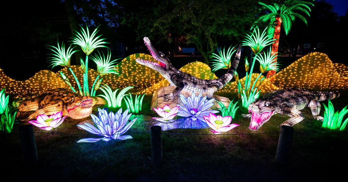 All new lanterns await as Zoomagination returns to the Buffalo Zoo