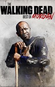 The Walking Dead: Best of Morgan