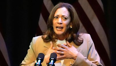 US polls 2024: The leap taken by Kamala Harris is already historic