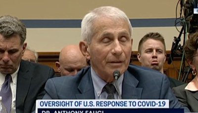 Jan. 6 rioter pulls faces behind Fauci as doctor tells Congress about death threats