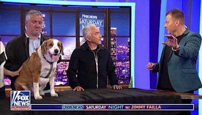 WATCH: Cesar Millan Trains Jimmy's Dog Bixby On 'Fox News Saturday Night'