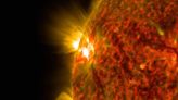 Powerful Solar Storm Triggers Radio Blackouts Across Pacific Region