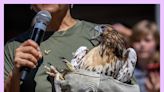 Want to help your feathered friends? This new L.A. center rescues birds of prey