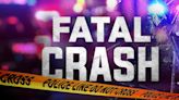 Motorcyclist dies after Lenawee Co. crash