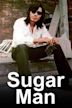 Searching for Sugar Man