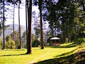 Dhanaulti