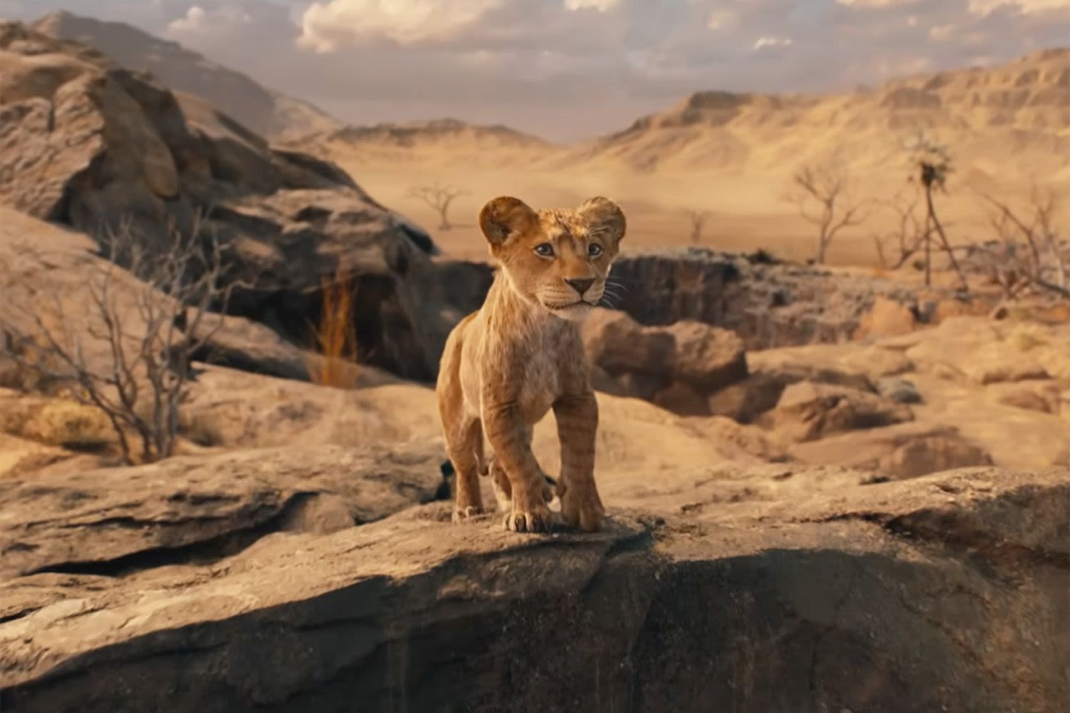 'The Lion King' Is Getting a Prequel 30 Years Later! Everything to Know About 'Mufasa: The Lion King'