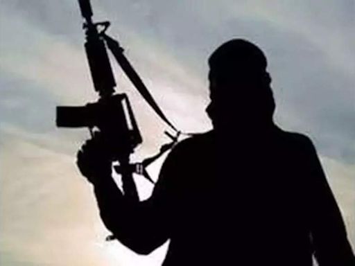 22 suspected terrorists arrested in Pakistan's Punjab - Times of India