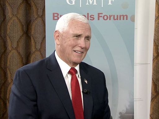 Mike Pence: Die USA werden die Ukraine langfristig unterstützen