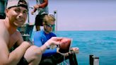 Weekend Warm-Up: Are Sharks Really Attracted to Human Blood? This YouTuber Finds Out
