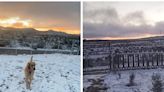 VIDEO: ¡En plena primavera! Amanece cubierta de nieve La Rumorosa