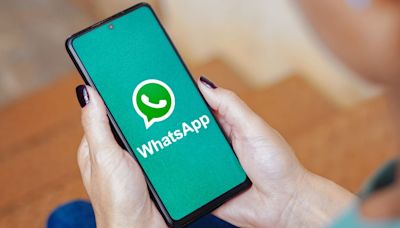 WhatsApp encryption isn't the problem, metadata is