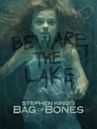 Bag of Bones