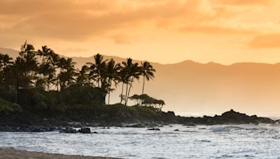 Tending to the Land—and My Grief—on a Taro Farm in Hawai'i