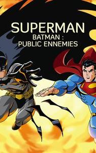 Superman/Batman: Public Enemies