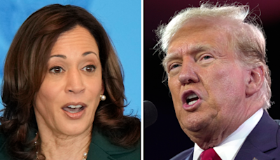 Trump tries out messages against Harris in speech to Turning Point