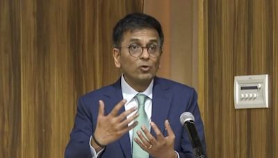 Democracy not just about numbers: CJI Chandrachud