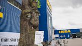 IKEA家具涉及砍伐古老森林！這些產品您有買嗎？